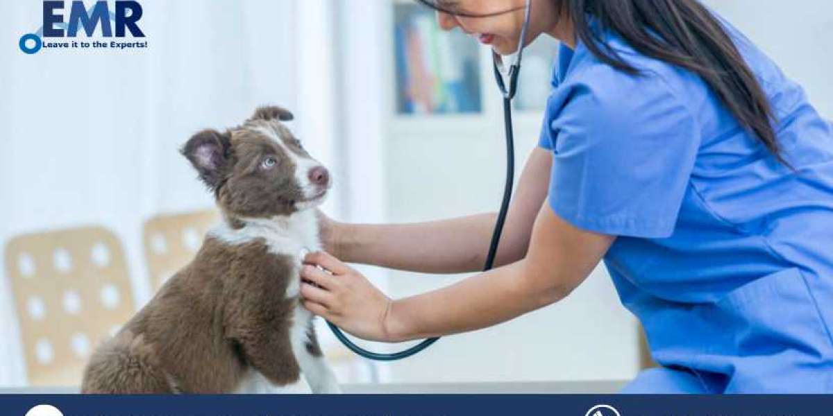 Global Pet Insurance Market Size To Grow At A CAGR Of 15.30% In The Forecast Period Of 2023-2028