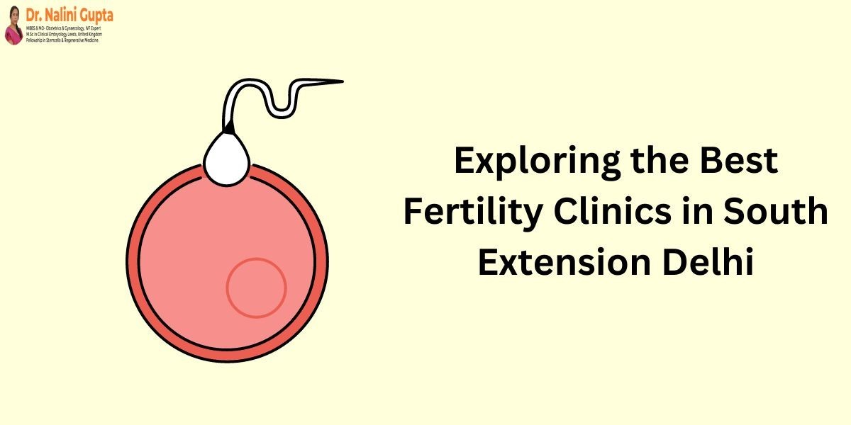 Exploring the Best Fertility Clinics in South Extension Delhi