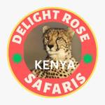 delight Safaris