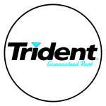 Trident Guaranteed Rent HMO