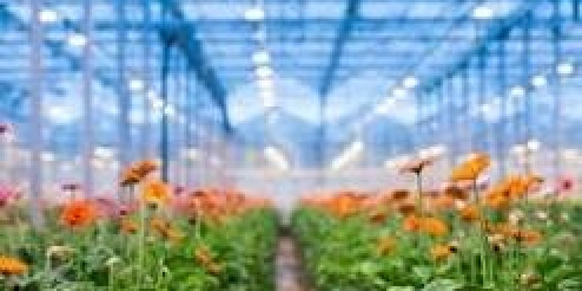 Global Horticulture Lighting Market: Size, Share, Trends, and Forecast Analysis (2021-2030)